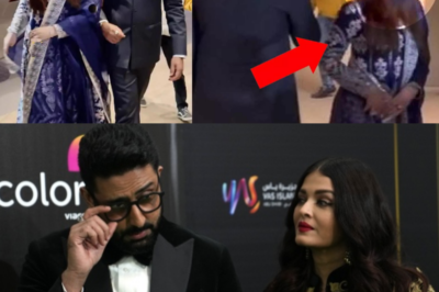 Aishwarya Rai Could Not Become A Good Wife? Netizens Come In Support Of Abhishek Bachchan?TQ